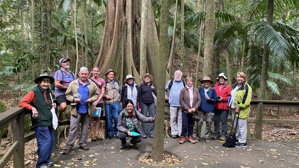 Group of bushwalkers posing in front of a giant fig tree